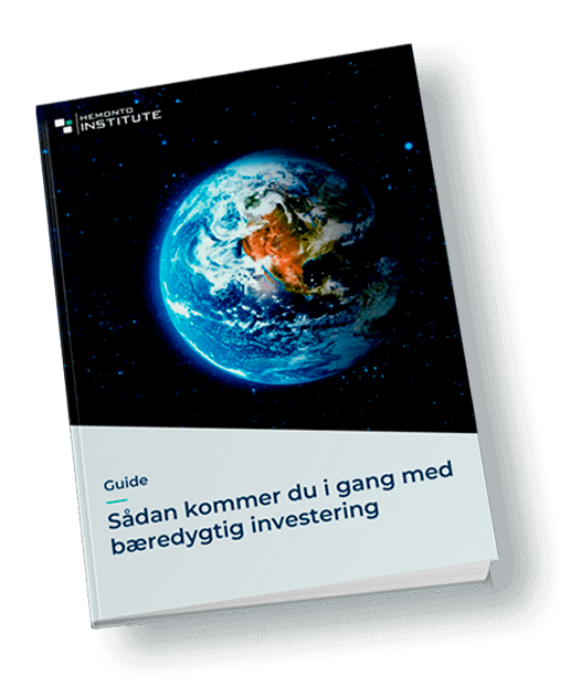 Bog: Sådan kommer du i gang med bæredygtig investering