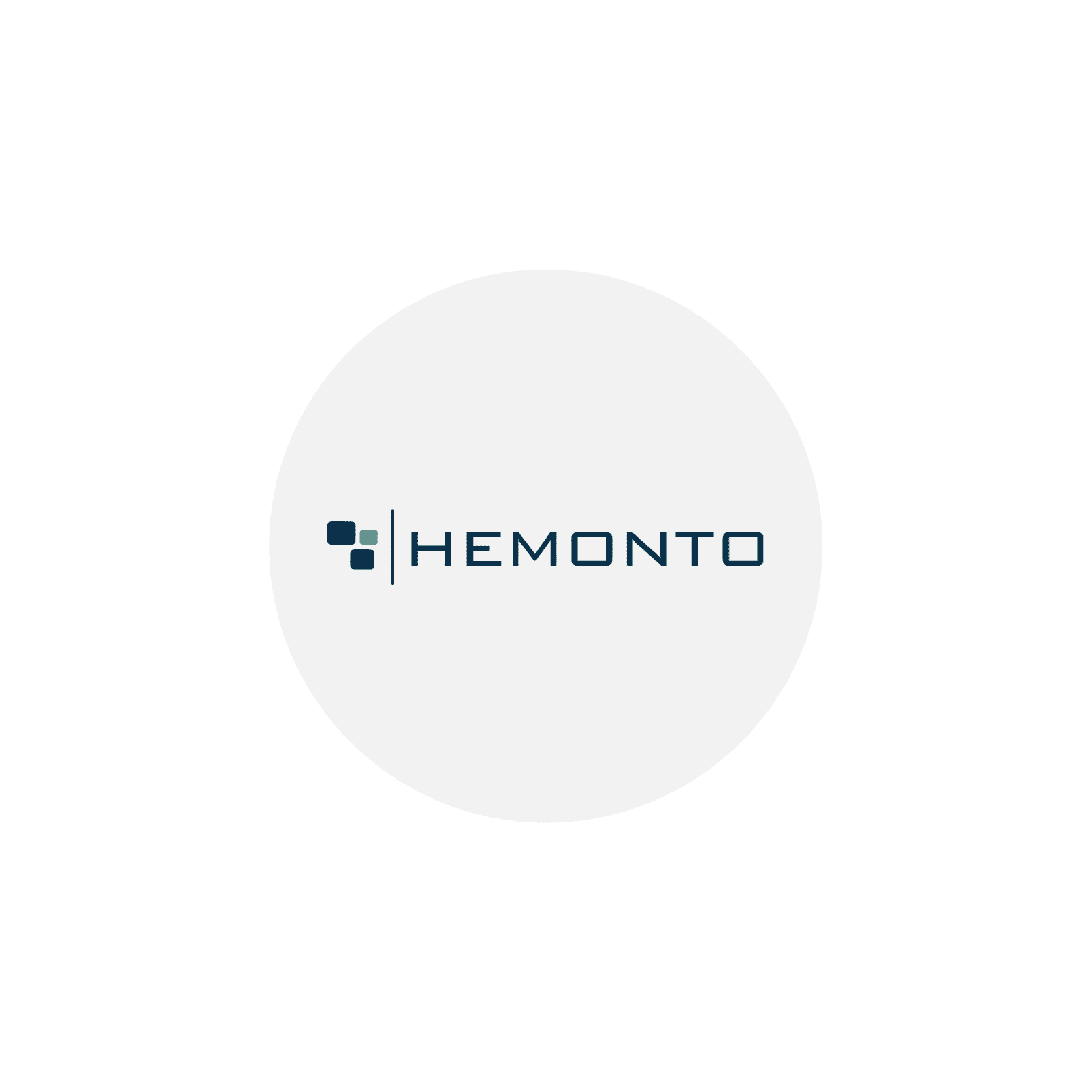 Hemonto blåt logo preview